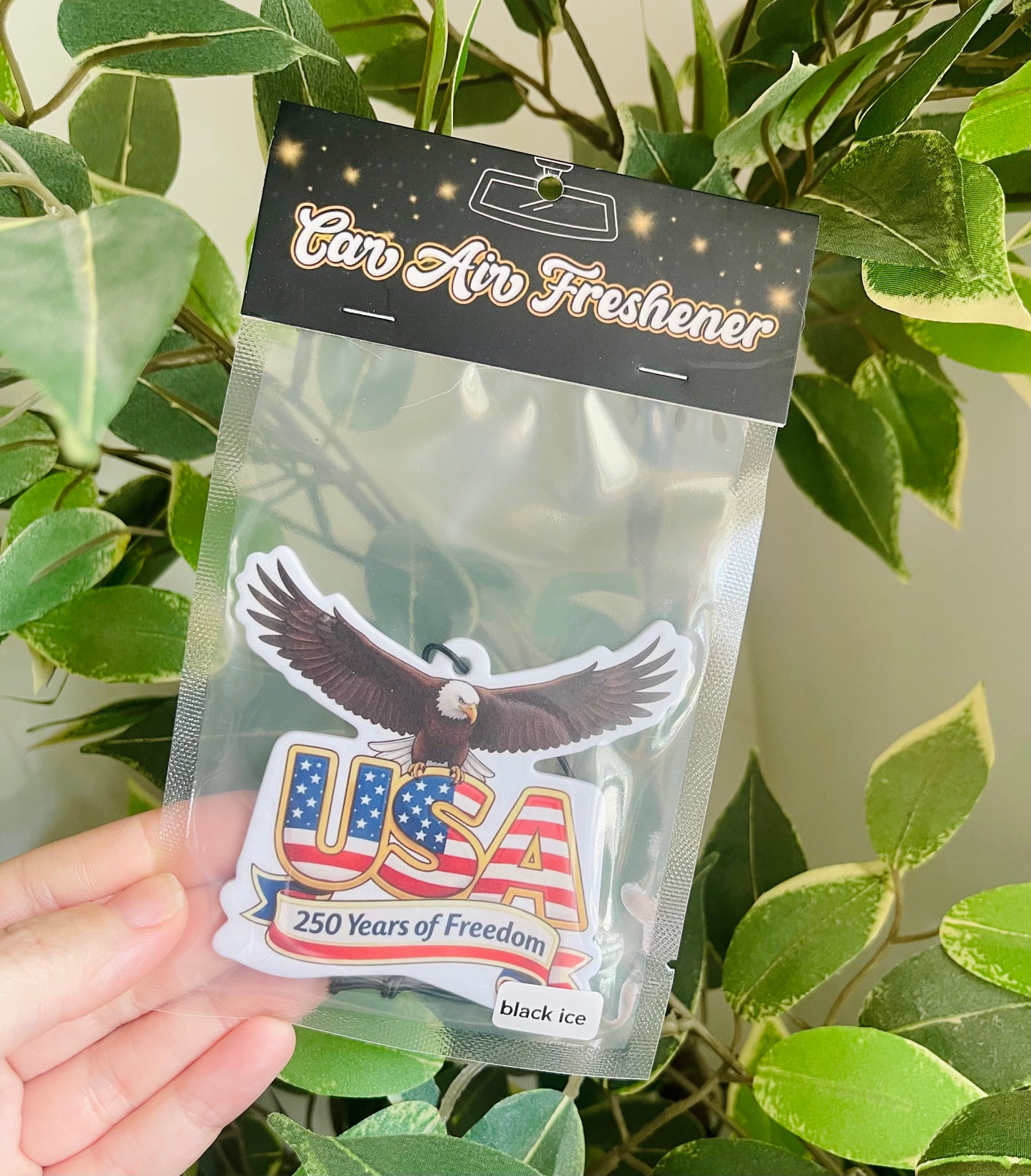 USA 250 Years of Freedom